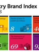 Country Brand Index
